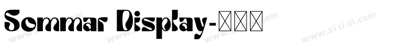 Sommar Display字体转换